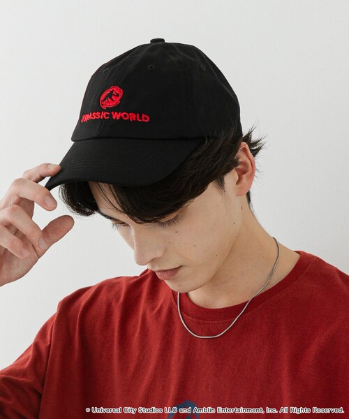 SENSE OF PLACE by URBAN RESEARCH（センスオブプレイスバイアーバンリサーチ）の「『別注』Jurassic World×SENSE OF PLACE　CAP（キャップ・メンズ・BLACK/IVORY/BLUE・one）」の2枚目の写真
