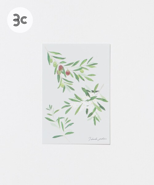 URBAN RESEARCH（アーバンリサーチ）の「はるかぜ染色工房　ポストカード（その他雑貨・メンズ・スズラン/野葡萄/カモミール/ミモザの花束/アネモネの花束/オリーブ/スミレ/ミモザグレー・-）」の6枚目の写真