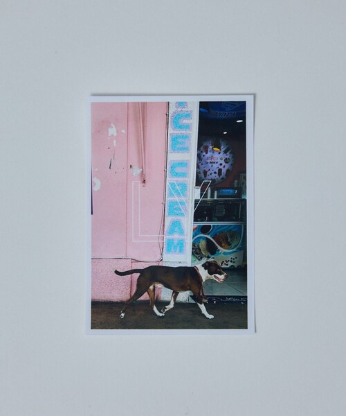 ADAM ET ROPE'（アダムエロペ）の「【LY（エルワイ）】Pins sets / ブローチセット（ブローチ/コサージュ・レディース・シルバー・F）」の13枚目の写真