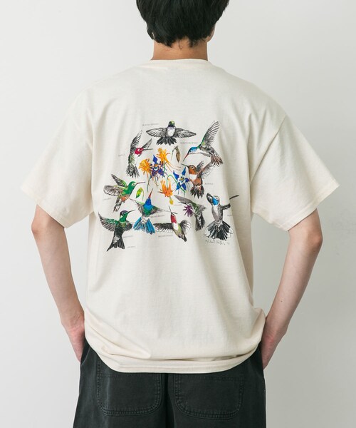 URBAN RESEARCH DOORS（アーバンリサーチドアーズ）の「LIBERTY GRAPHICS　Hummingbirds（Tシャツ/カットソー・メンズ・NATURAL・L/XL）」の3枚目の写真