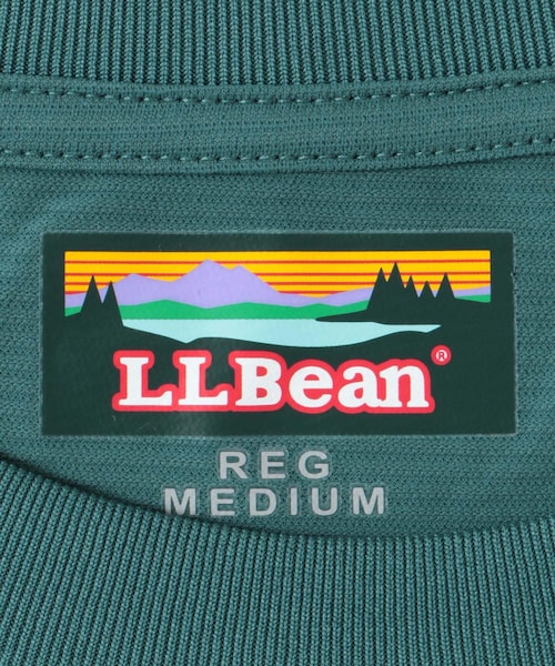 URBAN RESEARCH DOORS（アーバンリサーチドアーズ）の「L.L.Bean　Abbot Short Sleeve Crew（Tシャツ/カットソー・メンズ・Ivory/Night/Green・M/L/XL）」の21枚目の写真