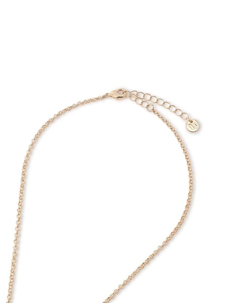 VIS（ビス）の「チャームコンビチェーンネックレス（ネックレス・レディース・ゴールド/シルバー・F）」の12枚目の写真