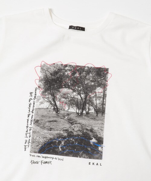 EKAL（エカル）の「フォトプリントショートスリーブTシャツ（Tシャツ/カットソー・レディース・ホワイト/ベージュ/グレー・One）」の16枚目の写真
