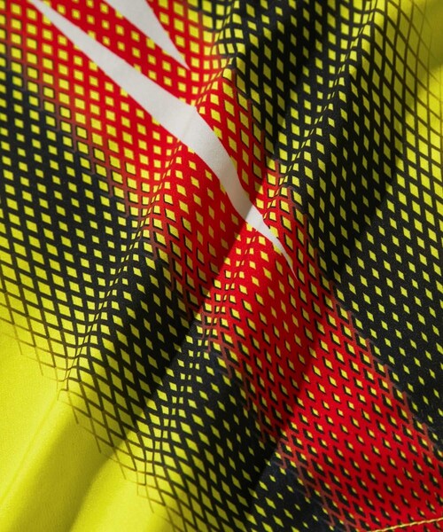 Saturdays NYC（サタデーズ ニューヨークシティ ）の「Oakley X Saturdays Timothy Swim Short（水着・メンズ・ブラック/グリーン・L/M/S）」の15枚目の写真