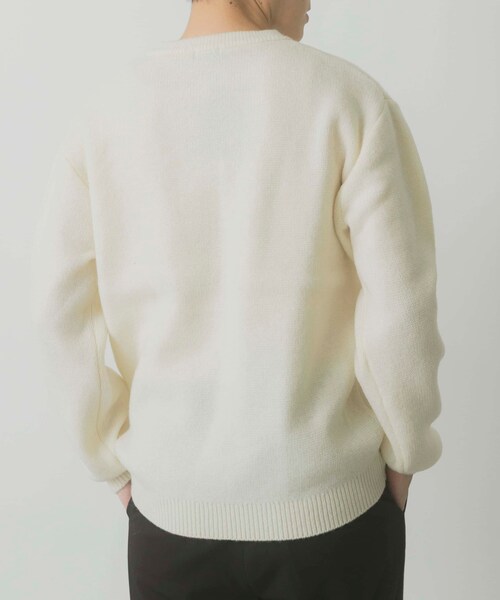 ITEMS URBANRESEARCH（アイテムズ アーバンリサーチ）の「タスマニア メリノウール100 Vネックニット（ニット/セーター・メンズ・WHT/BEG/MTD/DARK BLUE/BGD/CHA・M/L）」の17枚目の写真