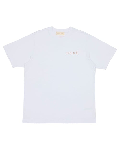 4133 外国切手 ポーランド 1981年 動物 狩猟 6種 コレクション