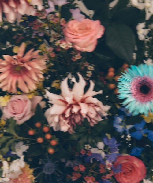 VIS（ビス）の「【DILIGENCE PARLOUR】VIS別注モデルフラワーロゴスウェット【セットアップ対応】（スウェット・レディース・ネイビー/ブルー系/イエロー・F）」の13枚目の写真