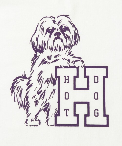 EKAL（エカル）の「TACOMA FUJI RECORDS　HOT DOG VNTG LOGO T-shirts（Tシャツ/カットソー・メンズ・WHITE・M/L/XL）」の5枚目の写真