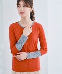 nissen | バイカラーシアー切り替えトップス(Tシャツ/カットソー)