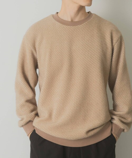 ITEMS URBANRESEARCH（アイテムズ アーバンリサーチ）の「フェザーヤーン クルーネック ニットソー（Tシャツ/カットソー・メンズ・MOC/YEL/BLK・M/L）」の13枚目の写真