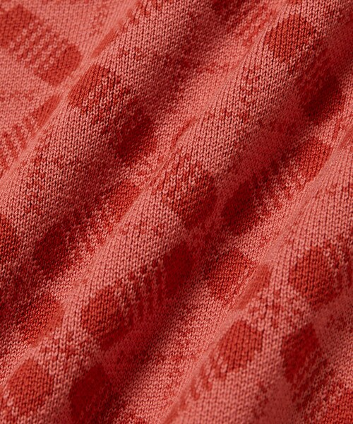 Saturdays NYC（サタデーズ ニューヨークシティ ）の「Hunakai Blockprint Sweater（ニット/セーター・レディース・ダークグリーン/ブラウン系/レッド・M/S）」の9枚目の写真