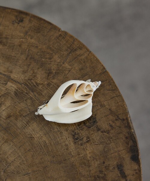 ADAM ET ROPE'(アダムエロペ)の「【J'aDoRe・一部店舗限定】【Raponesa General Store(レポネサジェネラルストア)】SEASHELL HAIRCLIP(バレッタ/ヘアクリップ・レディース・オフホワイト・F)」の13枚目の写真