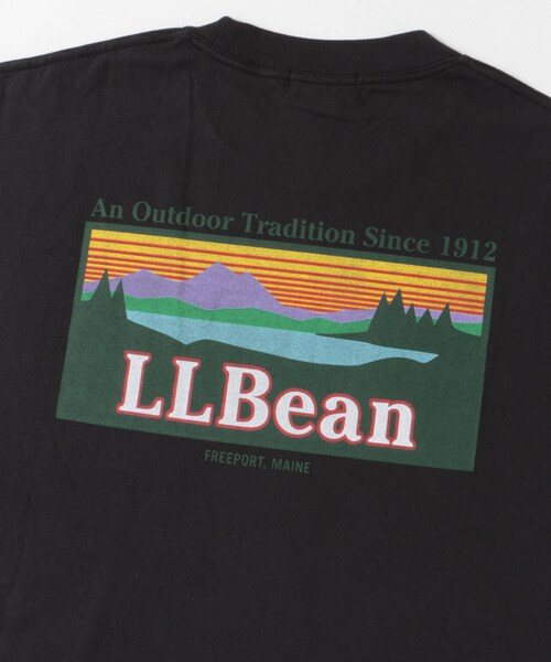 URBAN RESEARCH DOORS（アーバンリサーチドアーズ）の「L.L.Bean　Back Katahdin-T-shirts（Tシャツ/カットソー・メンズ・Off white/Black/Birch/Navy/Yellow・M/L/XL）」の18枚目の写真
