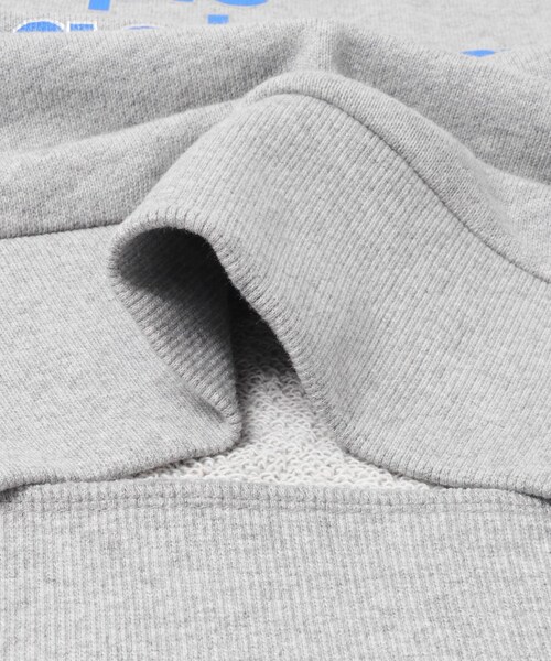 SENSE OF PLACE by URBAN RESEARCH(センスオブプレイスバイアーバンリサーチ)の「グラフィックルーズスウェット(スウェット・レディース・L.GRAY/OATMEAL/NAVY/PINK・One)」の20枚目の写真