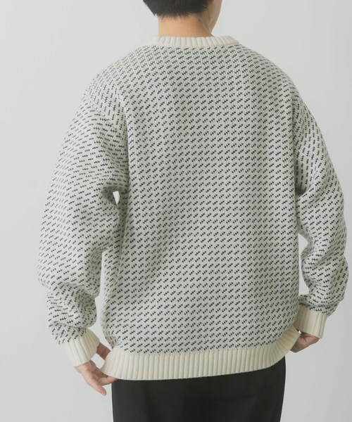 ITEMS URBANRESEARCH（アイテムズ アーバンリサーチ）の「マシンウォッシャブル バーズアイ クルーニット（ニット/セーター・メンズ・WHT/BGD/NVY/BLK・M/L）」の19枚目の写真