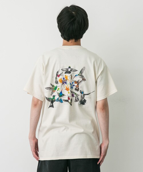 URBAN RESEARCH DOORS（アーバンリサーチドアーズ）の「LIBERTY GRAPHICS　Hummingbirds（Tシャツ/カットソー・メンズ・NATURAL・L/XL）」の6枚目の写真