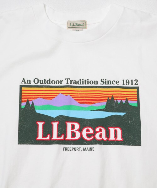 URBAN RESEARCH DOORS(アーバンリサーチドアーズ)の「L.L.Bean JAPAN EDITION SHORT-SLEEVE KATAHDIN LOGO T-SHIRTS(Tシャツ/カットソー・メンズ・OFF WHITE/BIRCH/LEMON/LIME/CHARCOAL・M/L/XL)」の9枚目の写真