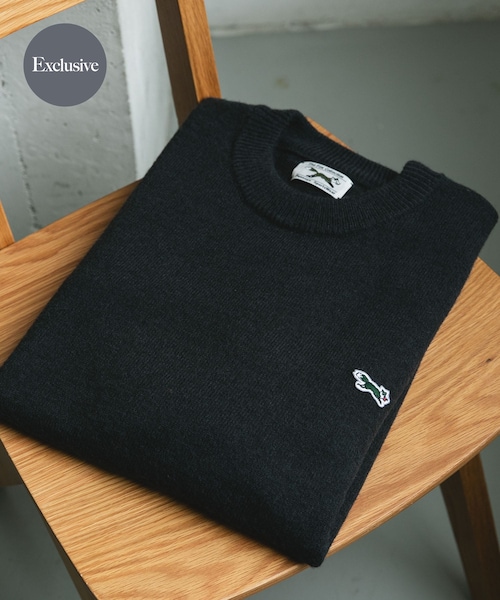 URBAN RESEARCH DOORS(アーバンリサーチドアーズ)の「『別注』PENNEYS×DOORS THE FOX クルーネックスフレニット(ニット/セーター・メンズ・ECRU/CHERRY/NAVY/CHARCOAL・M/L/XL)」の4枚目の写真