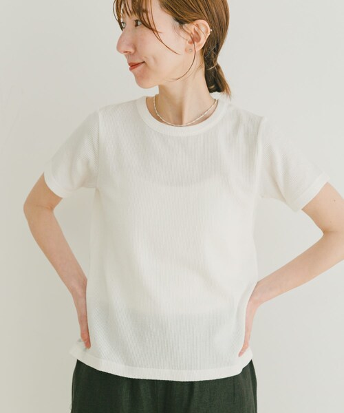 ITEMS URBANRESEARCH（アイテムズ アーバンリサーチ）の「チビテレコTシャツ（Tシャツ/カットソー・レディース・GRN/WHT/CHA・FREE）」の6枚目の写真