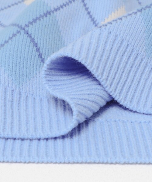 ITEMS URBANRESEARCH（アイテムズ アーバンリサーチ）の「ウール混アーガイルVネックニットベスト（ベスト・メンズ・BLU/BLK・M/L）」の20枚目の写真
