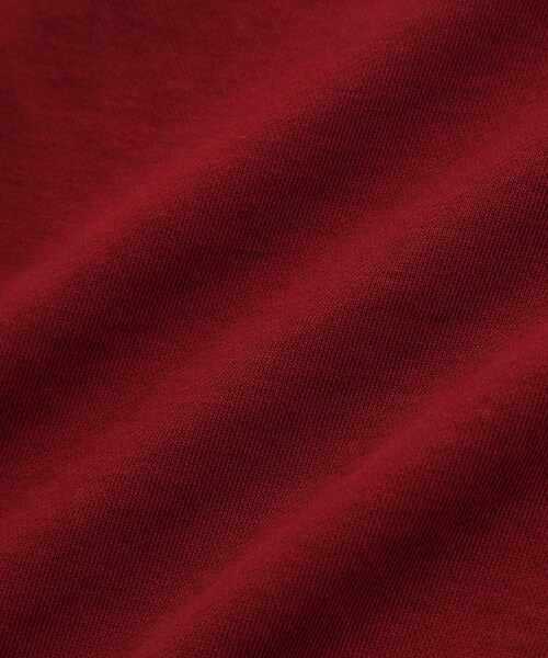 ADAM ET ROPE'（アダムエロペ）の「《別注》【SPALDING/スポルディング】EMBROIDERY HALF ZIP POLO SWEAT / UNISEX（スウェット・メンズ・ブラック/ライトグレー/ワイン・L/M）」の17枚目の写真