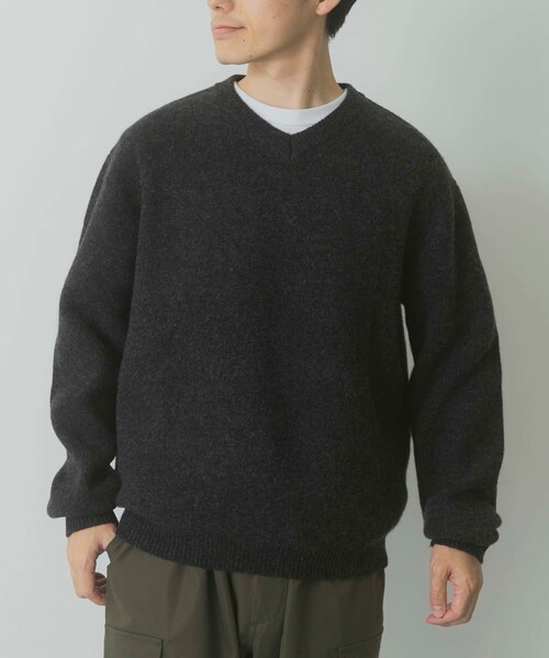 ITEMS URBANRESEARCH（アイテムズ アーバンリサーチ）の「タスマニア メリノウール100 Vネックニット（ニット/セーター・メンズ・WHT/BEG/MTD/DARK BLUE/BGD/CHA・M/L）」の16枚目の写真