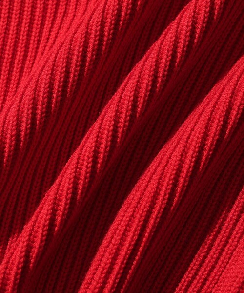 ADAM ET ROPE'（アダムエロペ）の「《別注》【BATONER/バトナー】EX SOLIDWOOL RIB SKIPPER（ニット/セーター・メンズ・ブラック/ダークブラウン/レッド・2/3/4）」の20枚目の写真