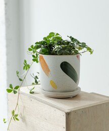 URBAN RESEARCH DOORS | FARM デシレ 11W(その他雑貨)