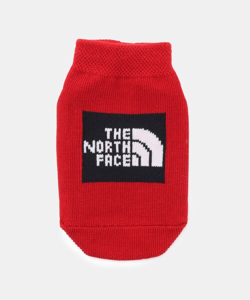 ROPE' PICNIC(ロペピクニック)の「【BABY】【THE NORTH FACE/ザ・ノース・フェイス】organic 3Psocks(ソックス/靴下・キッズ・モスグリーン/イエロー・F)」の8枚目の写真