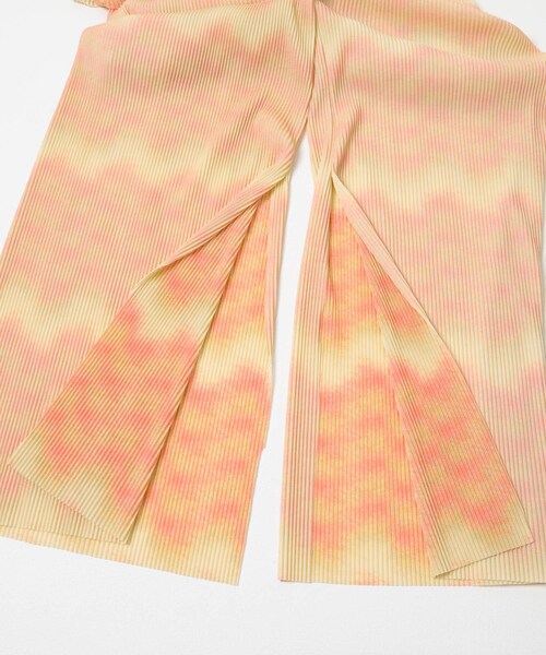 THE GOODLAND MARKET（ザグッドランドマーケット）の「Jens　UNDER PANTS DRESS 2（その他パンツ・レディース・PRINT MONO/MULTI・1）」の19枚目の写真