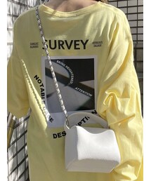 EMODA | 【WEB限定】チェーンショルダータイニーバッグ(ショルダーバッグ)