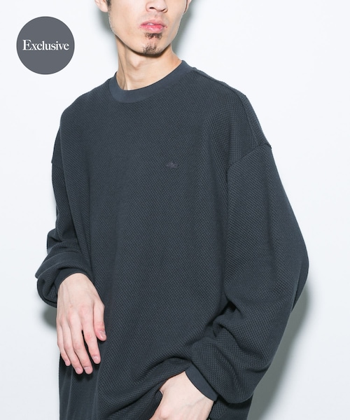 URBAN RESEARCH DOORS（アーバンリサーチドアーズ）の「『別注』LACOSTE×DOORS　HEAVY PIQUE LONG-SLEEVE（Tシャツ/カットソー・メンズ・HAMMAM/GRAPHITE/PORTO・3/4/5）」の2枚目の写真