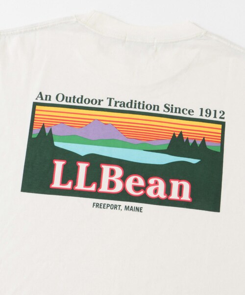 URBAN RESEARCH DOORS（アーバンリサーチドアーズ）の「L.L.Bean　Back Katahdin-T-shirts（Tシャツ/カットソー・メンズ・Off white/Black/Birch/Navy/Yellow・M/L/XL）」の9枚目の写真