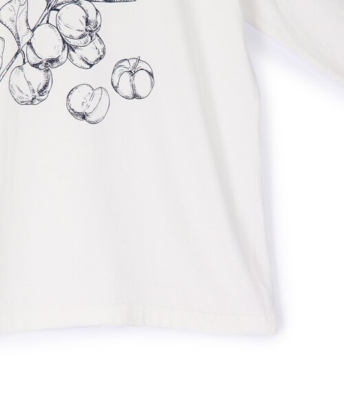 ADAM ET ROPE'（アダムエロペ）の「【GOOD ROCK SPEED】別注 ACEROLA LONG SLEEVE TEE（Tシャツ/カットソー・レディース・ホワイト/ネイビー/ピンク・F）」の12枚目の写真