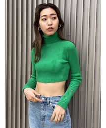 EMODA | ハイネッククロップニット(ニット/セーター)