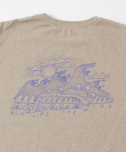 URBAN RESEARCH DOORS（アーバンリサーチドアーズ）の「patagonia　WindRunnerResponsibiliT-shirts（Tシャツ/カットソー・メンズ・WHI/SBDY/WLDB・S/M/L）」の12枚目の写真