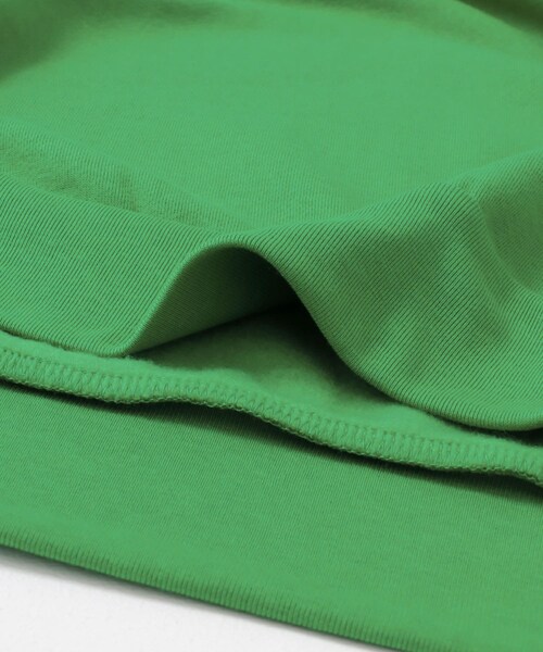 ITEMS URBANRESEARCH（アイテムズ アーバンリサーチ）の「Healthknit　Classic Sweat Zip Hoodie（パーカー・メンズ・BLU/ASH GRY/GRN/RED/F.BLK・M/L/XL）」の16枚目の写真