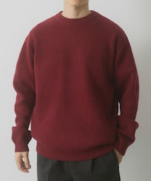 ITEMS URBANRESEARCH | タスマニア メリノウール100 クルーネックニット(ニット/セーター)