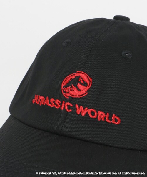 SENSE OF PLACE by URBAN RESEARCH（センスオブプレイスバイアーバンリサーチ）の「『別注』Jurassic World×SENSE OF PLACE　CAP（キャップ・メンズ・BLACK/IVORY/BLUE・one）」の13枚目の写真