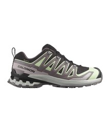 【SALOMON（サロモン）】XA PRO 3D V9 GTX W