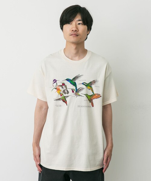 URBAN RESEARCH DOORS（アーバンリサーチドアーズ）の「LIBERTY GRAPHICS　Hummingbirds（Tシャツ/カットソー・メンズ・NATURAL・L/XL）」の4枚目の写真