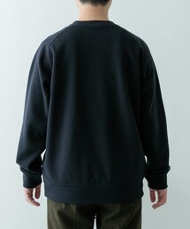 ITEMS URBANRESEARCH | 発熱機能 クルーネックラグランTops(Tシャツ/カットソー)