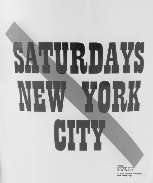 Saturdays NYC（サタデーズ ニューヨークシティ ）の「SNYC x SNOOPY ＆ CHARLIE GLASS（サングラス・レディース・その他・F）」の12枚目の写真