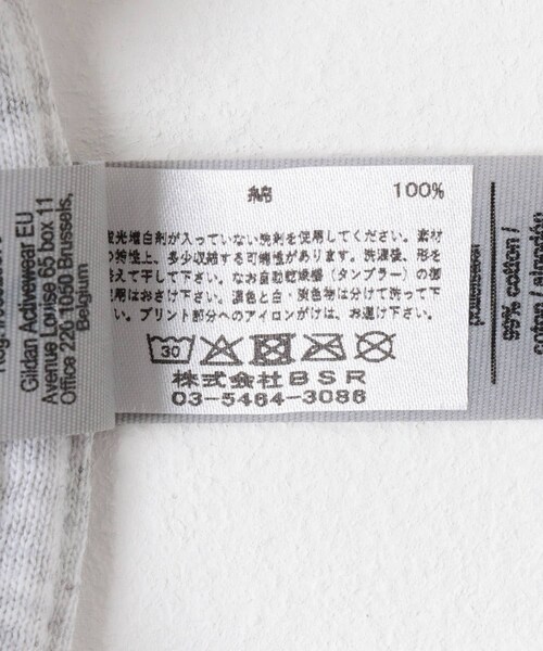 URBAN RESEARCH DOORS（アーバンリサーチドアーズ）の「LIBERTY GRAPHICS　Walk Gently（Tシャツ/カットソー・メンズ・ASH・L/XL）」の11枚目の写真