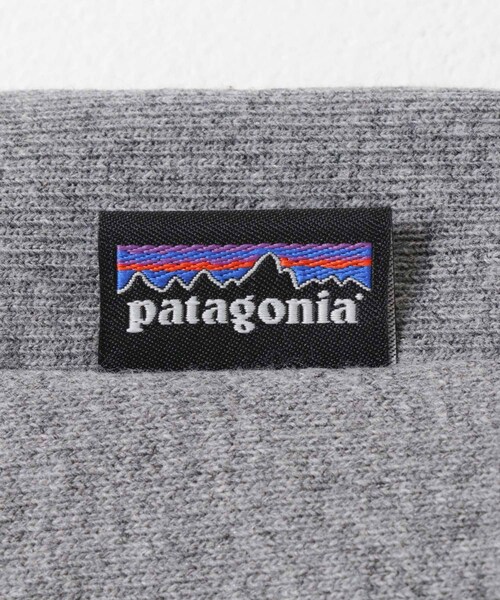 URBAN RESEARCH DOORS（アーバンリサーチドアーズ）の「patagonia　OVAL LOGO UPRISAL SWEAT（スウェット・メンズ・BLK/GLH/NENA・S/M/L/XL）」の18枚目の写真