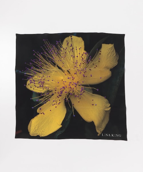 『別注』LISA KING×URBAN RESEARCH　Silk Scarf