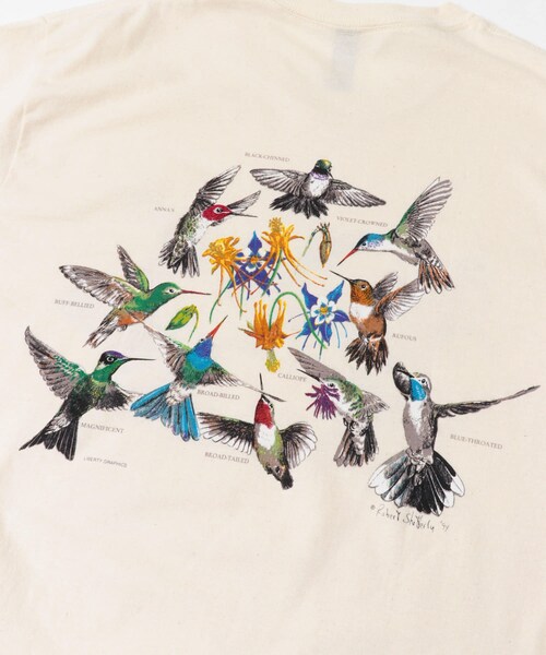 URBAN RESEARCH DOORS（アーバンリサーチドアーズ）の「LIBERTY GRAPHICS　Hummingbirds（Tシャツ/カットソー・メンズ・NATURAL・L/XL）」の10枚目の写真