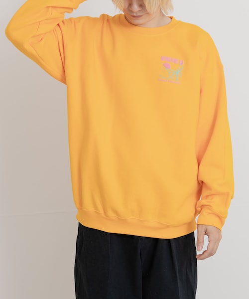 THE GOODLAND MARKET（ザグッドランドマーケット）の「PARKS PROJECT　NATIONAL PARKS SWEAT（スウェット・メンズ・GREEN/YELLOW・M/L）」の2枚目の写真