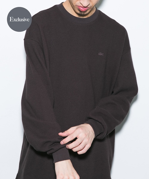 URBAN RESEARCH DOORS（アーバンリサーチドアーズ）の「『別注』LACOSTE×DOORS　HEAVY PIQUE LONG-SLEEVE（Tシャツ/カットソー・メンズ・HAMMAM/GRAPHITE/PORTO・3/4/5）」の3枚目の写真