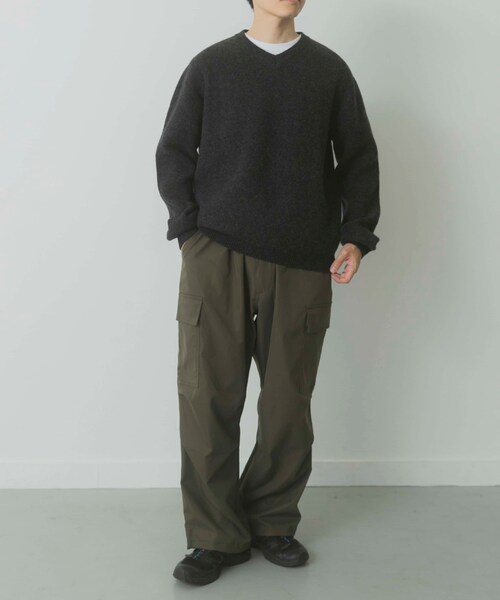 ITEMS URBANRESEARCH（アイテムズ アーバンリサーチ）の「タスマニア メリノウール100 Vネックニット（ニット/セーター・メンズ・WHT/BEG/MTD/DARK BLUE/BGD/CHA・M/L）」の21枚目の写真